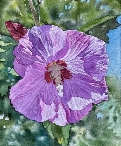 Rose of Sharon 1 by George Mauersberger