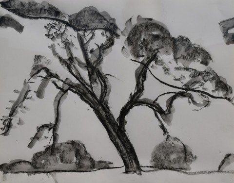 Landscape Pen and Ink Drawing: 