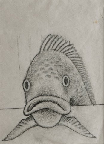 Animal Graphite on Paper Drawing Sketch: 
