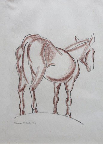 Donkey