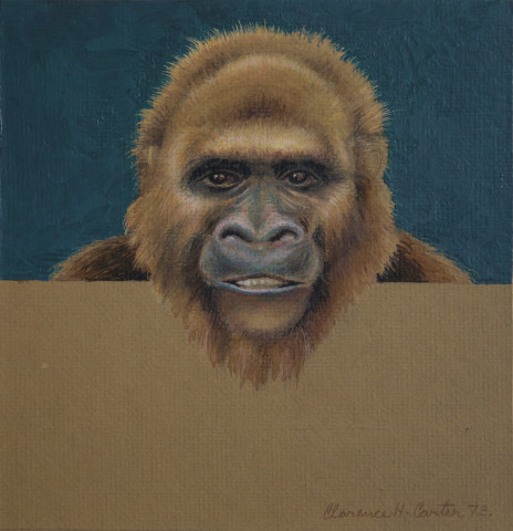 Pappy (Study for Over and Above: Gorilla) by Clarence Holbrook Carter