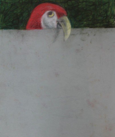 Over and Above: Parrot by Clarence Holbrook Carter