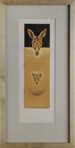 Over and Above: Kangaroo