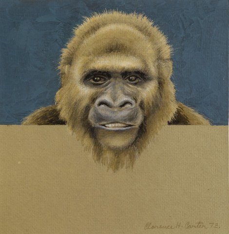 Animal Colored Pencil on Paper Drawing: 