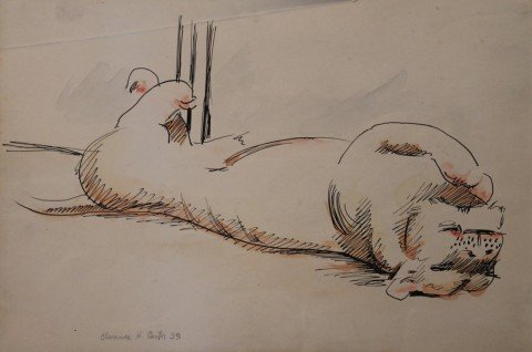 Recumbant Tiger