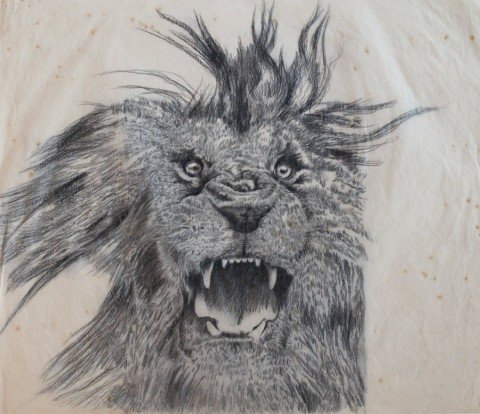 Finished Study for Over and Above: Lion by Clarence Holbrook Carter