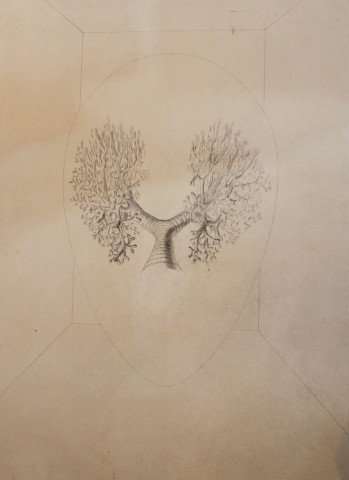 Study for Air Chamber