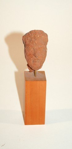 A Greek Terracotta Head I