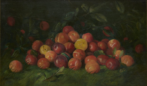 Still-Life of Apples by Adam Lehr