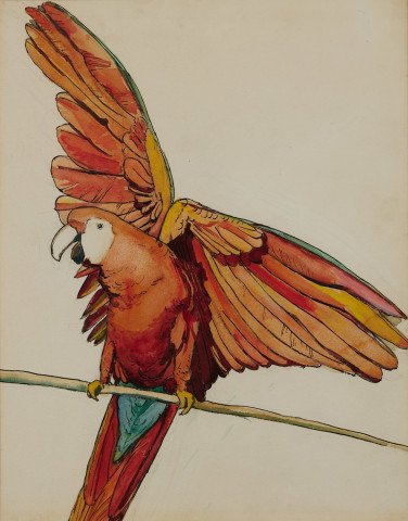 Parrot I by Jane Peterson