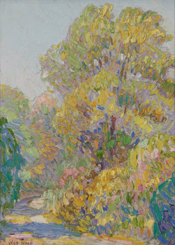 The Tulip Poplar on Salem Pike by Glen Tracy