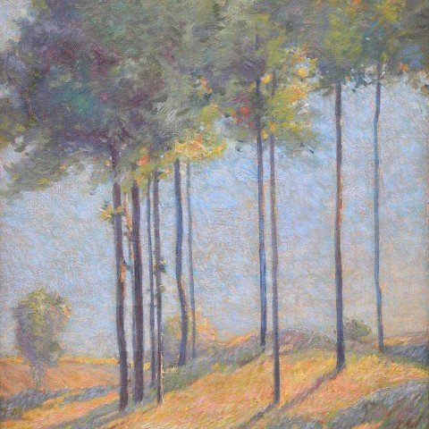 Ernest Zarsky—Sunlit Trees