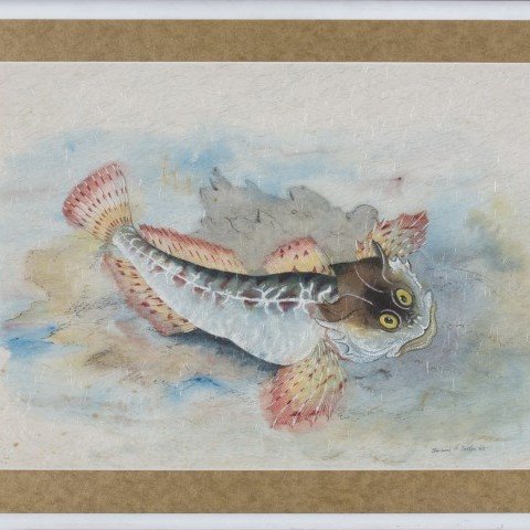 Happy Fish