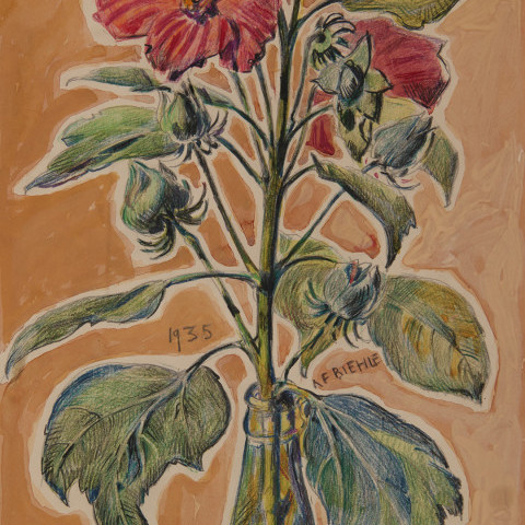 Hibiscus by August Frederick Biehle