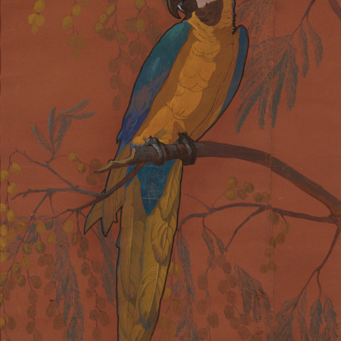 Parrot by August Frederick Biehle