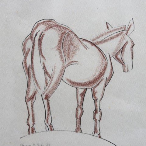Donkey