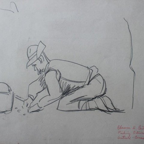 Picking Olives (Anticoli-Corrado) IV