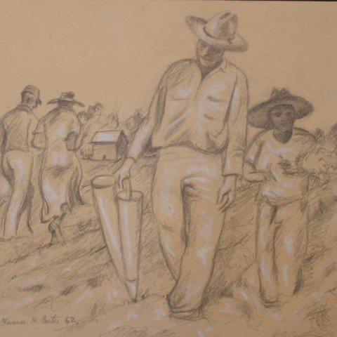 Planting Tobacco