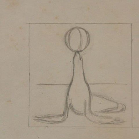 Sketch of Performing Seal