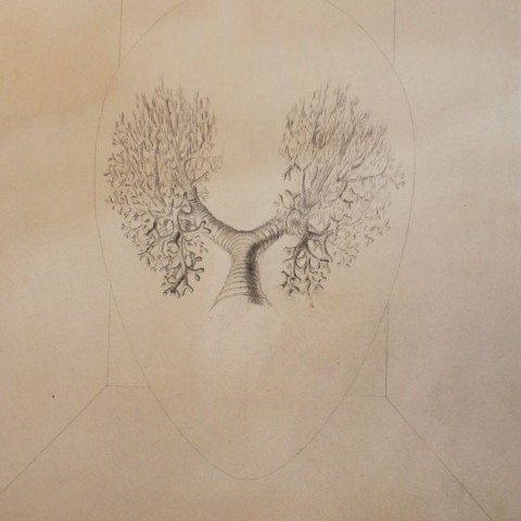 Study for Air Chamber