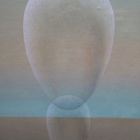 Transection #11