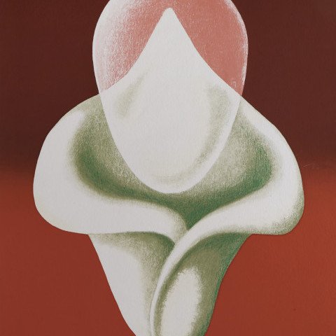 Abstract Tulip