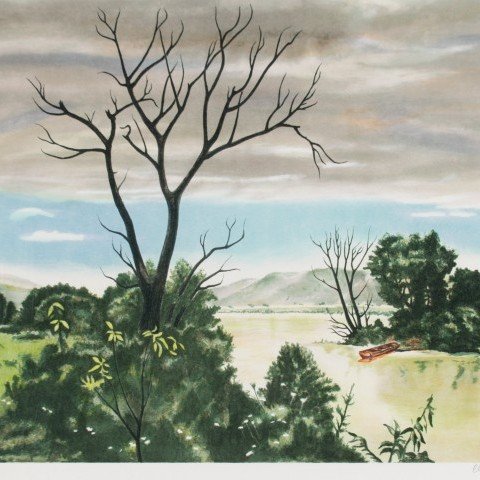 Spring Landscape