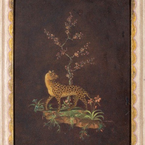 Cosmo deSalvo - Leopard