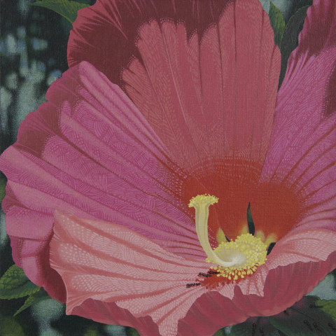 Rose Mallow Ephemeral by Dean Drahos