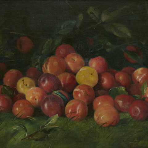 Still-Life of Apples by Adam Lehr