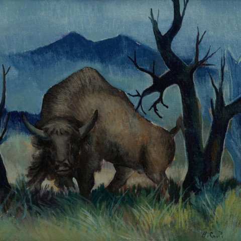 Bison by Harvey Gregory Prusheck