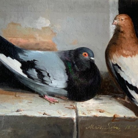 Animal Oil on Canvas painting: 