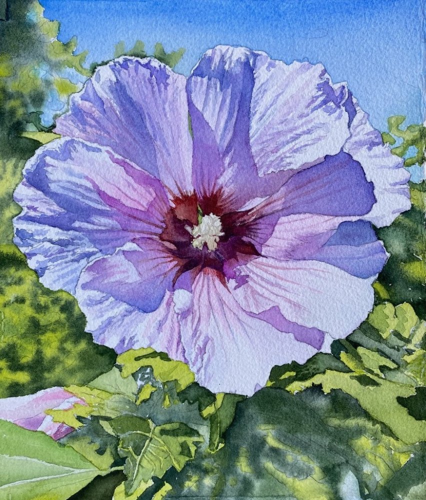 Rose of Sharon 2 by George Mauersberger