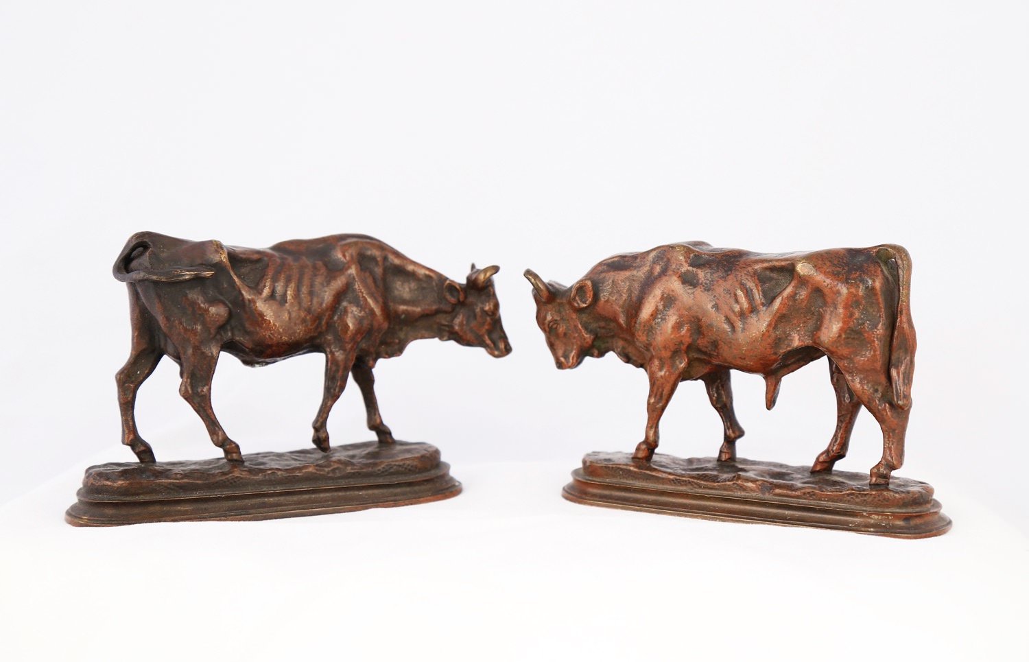 Pair of Bronze Sculptures, Bull and Cow by Auguste Caïn