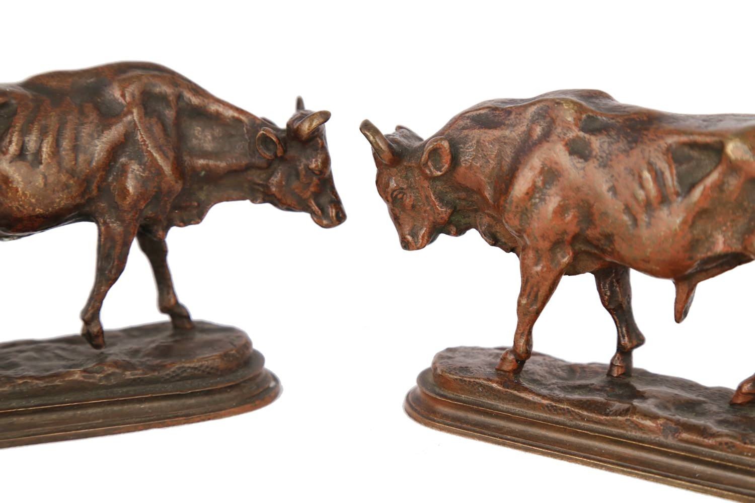 Pair of Bronze Sculptures, Bull and Cow by Auguste Caïn