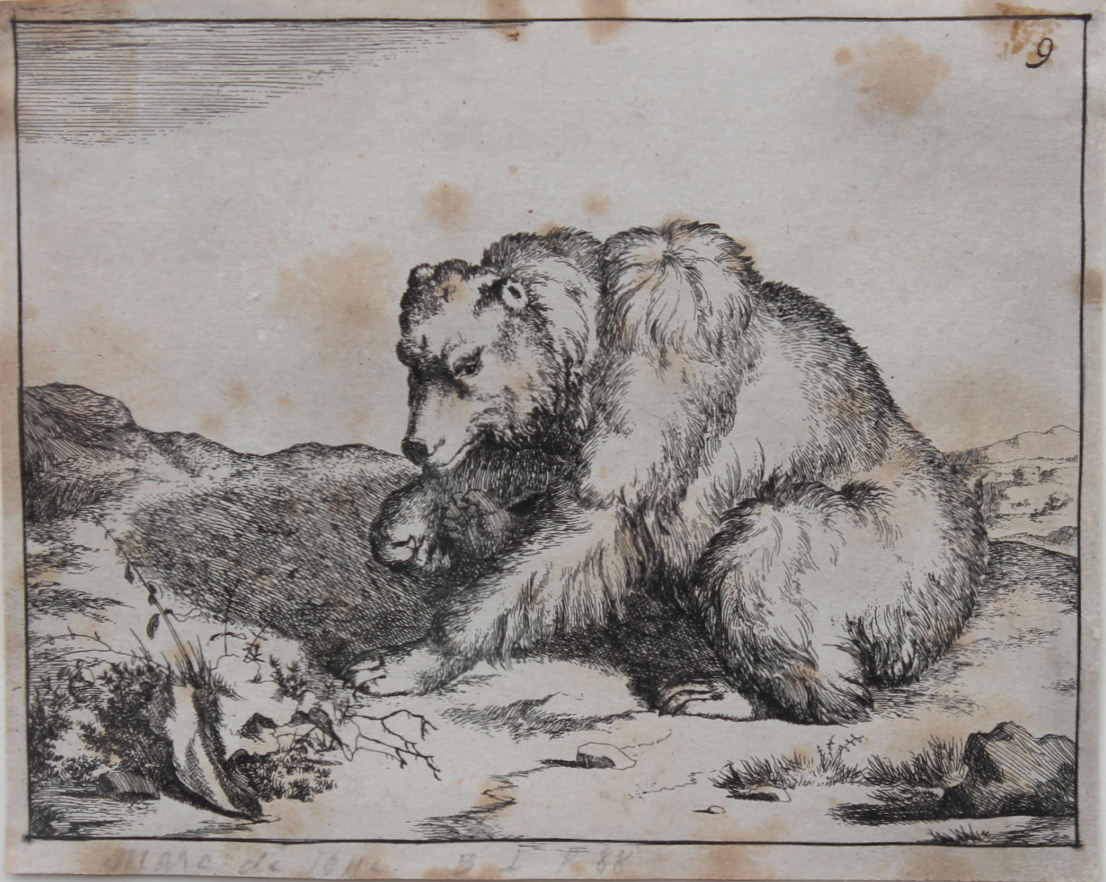 Antique Engraving of a Bear