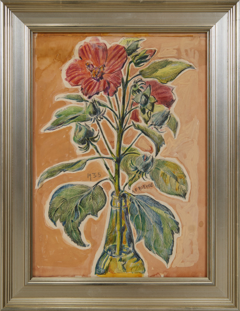 Hibiscus by August Frederick Biehle