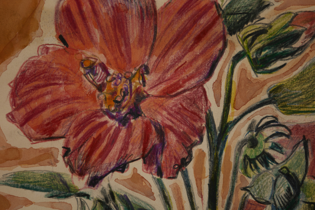 Hibiscus by August Frederick Biehle