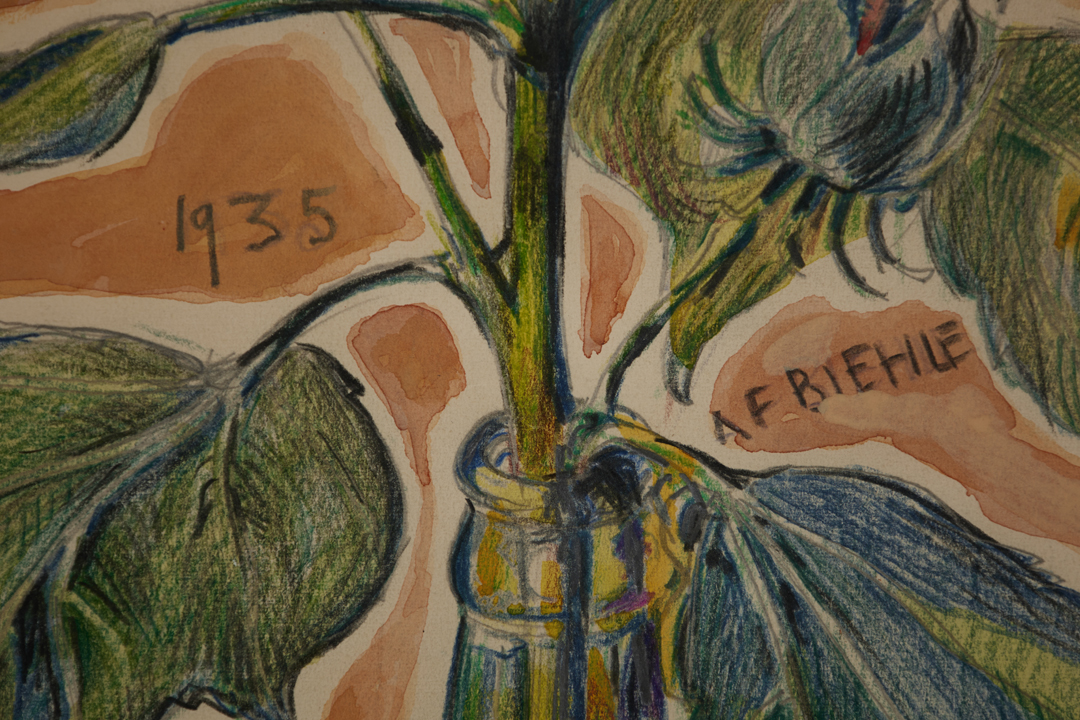 Hibiscus by August Frederick Biehle