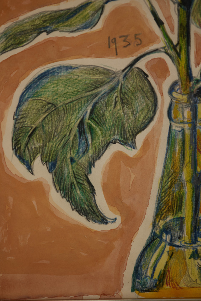 Hibiscus by August Frederick Biehle