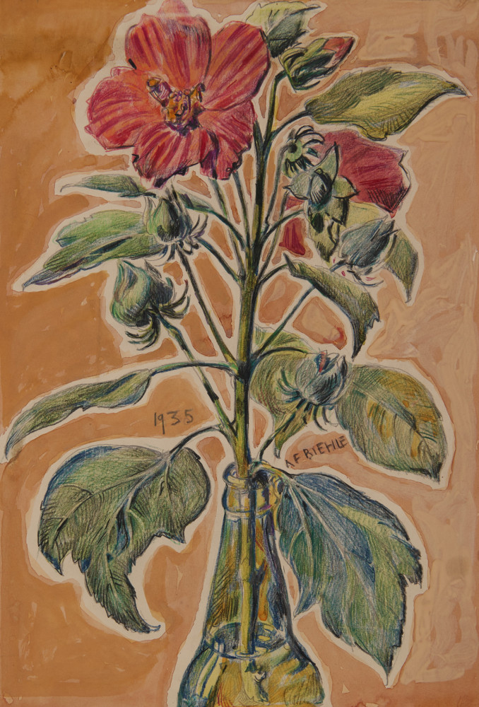 Hibiscus by August Frederick Biehle