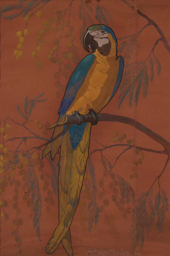 Parrot by August Frederick Biehle