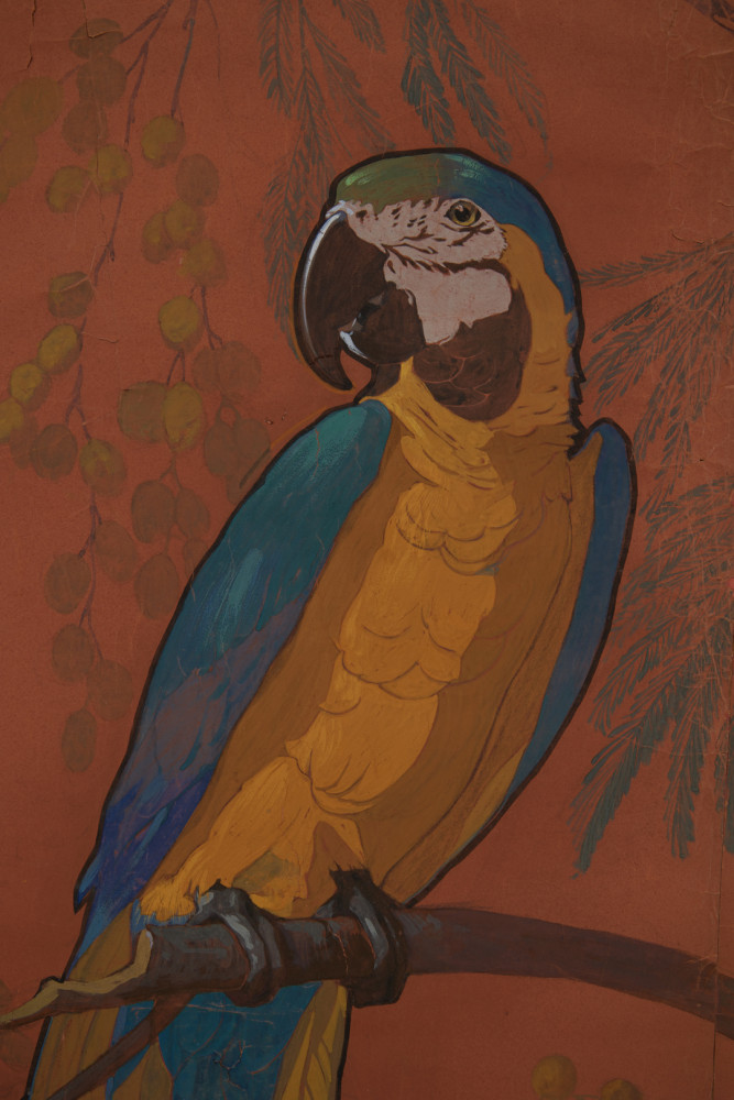Parrot by August Frederick Biehle