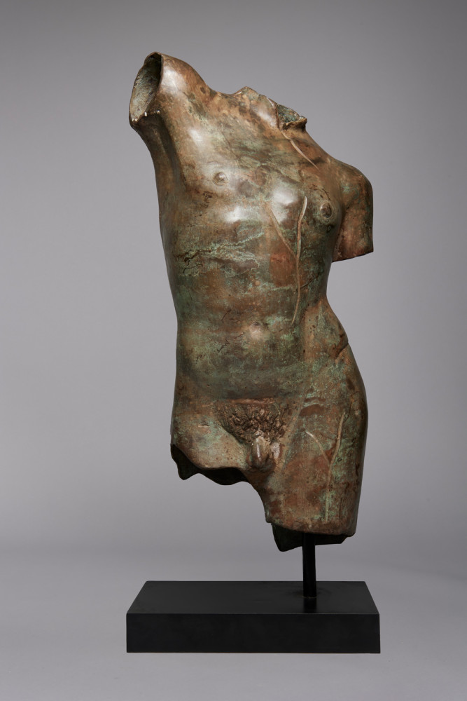 Patinated Bronze Torso after the Antique