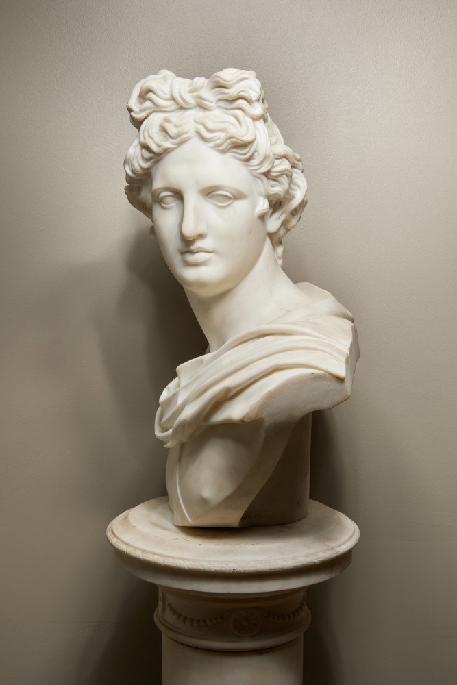 Bust of The Apollo Belvedere, 19th Century Italian