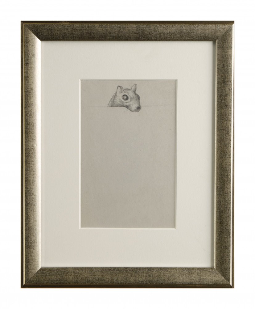 Abstract Animal Graphite on Gray Paper Drawing: 