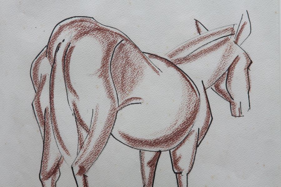 Animal Conté Crayon and Ink on Paper Drawing: 