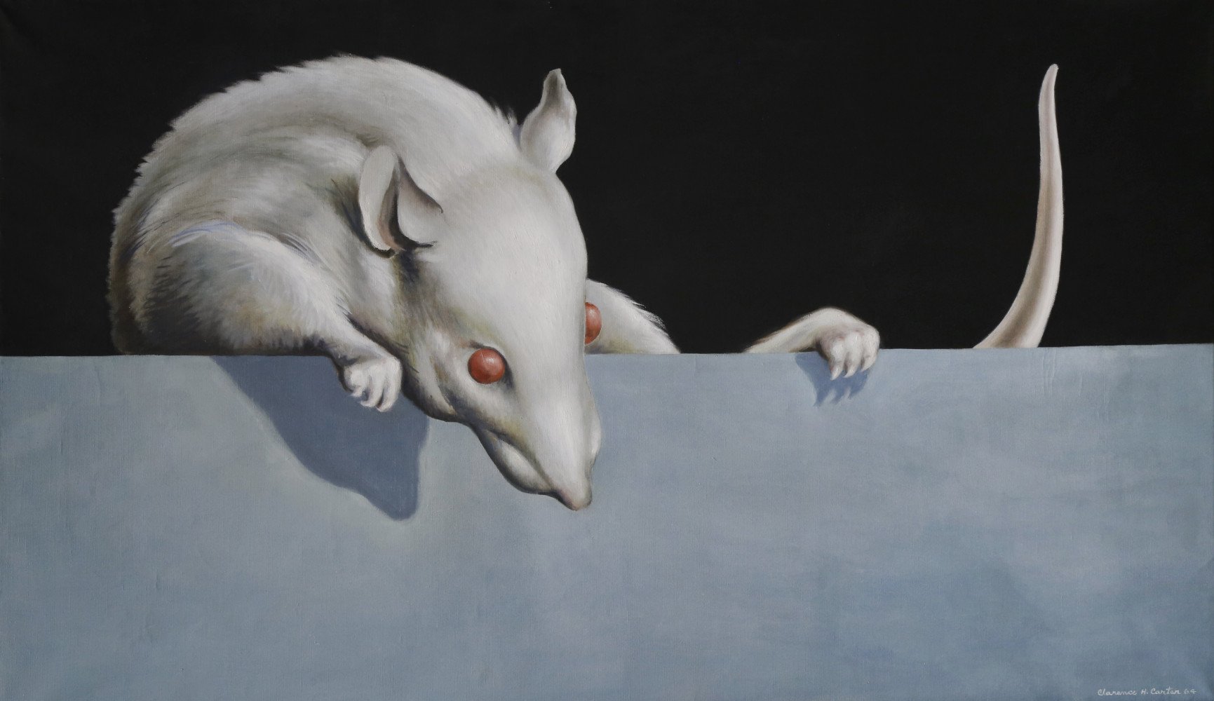 Animal Oil on Canvas Painting: 