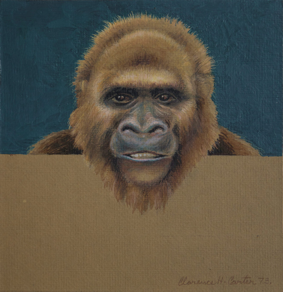 Pappy (Study for Over and Above: Gorilla) by Clarence Holbrook Carter