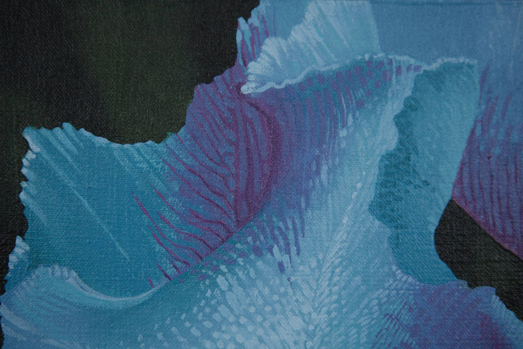 Iris Transient by Dean Drahos